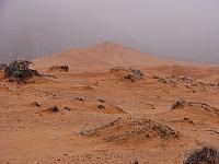 coral pink dunes (7).JPG